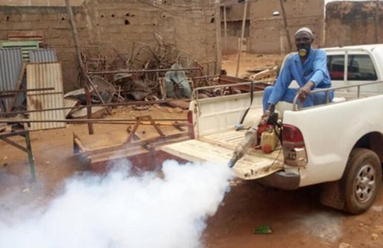 Dengue au Mali : les autorités sanitaires alertent sur l&rsquo;épidémie en cours