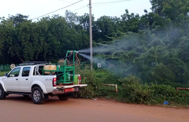 Épidémie de dengue au Burkina Faso : bilan alarmant et mesures sanitaires