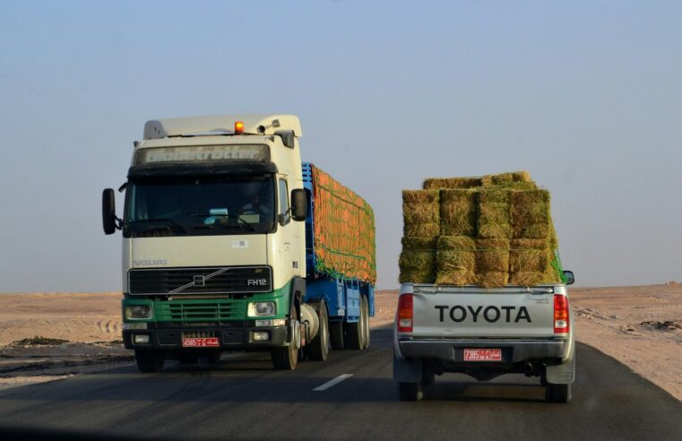 N&rsquo;Djamena modernise les corridors Cameroun-Tchad-rca pour booster le commerce