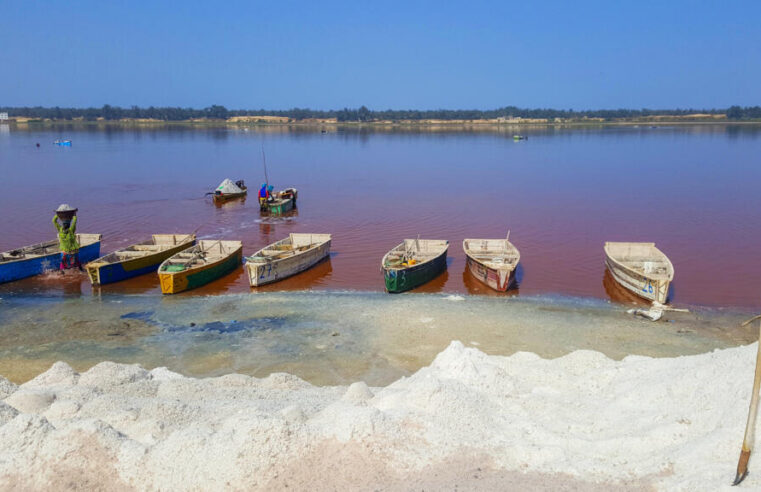 Manifestation au lac rose contre la ville verte à Dakar