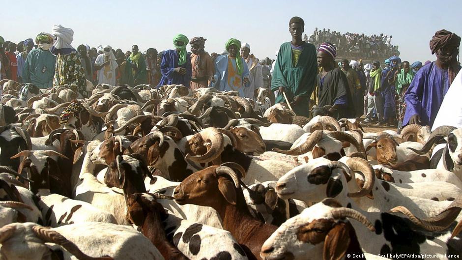 Escorte militaire des moutons pour la tabaski à Bamako