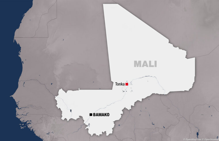 Mali : les jihadistes du Jnim commettent un nouvel assassinat à Tonka dans la région de Tombouctou
