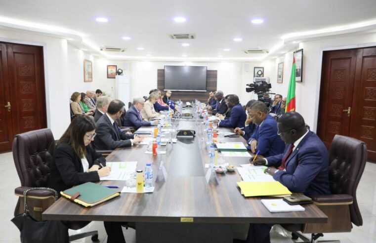Renforcement des liens Mauritanie-union européenne : un dialogue stratégique essentiel