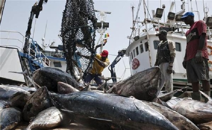 Sénégal : quatre licences de pêche démersale attribuées pour répondre aux besoins locaux