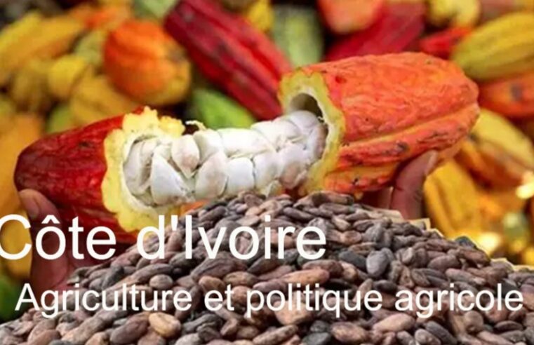 Côte d&rsquo;Ivoire : le rôle clé de l&rsquo;agriculture dans l&rsquo;économie et les défis sociaux