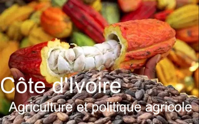 Côte d&rsquo;Ivoire : le rôle clé de l&rsquo;agriculture dans l&rsquo;économie et les défis sociaux