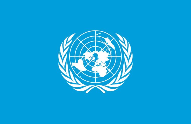 Mali : le Conseil de sécurité de l&rsquo;ONU dénonce les attaques terroristes récentes