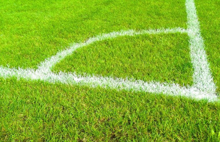 Barrages ligue 1/ligue 2 : nice et saint-Étienne s&rsquo;affrontent ce soir pour une place en première division