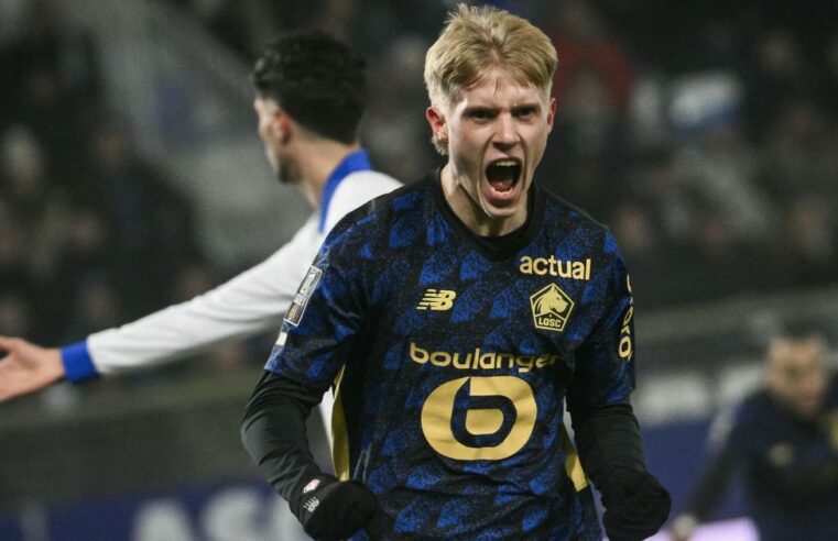 Match décisif du losc face à auxerre : enjeux européens pour les dogues