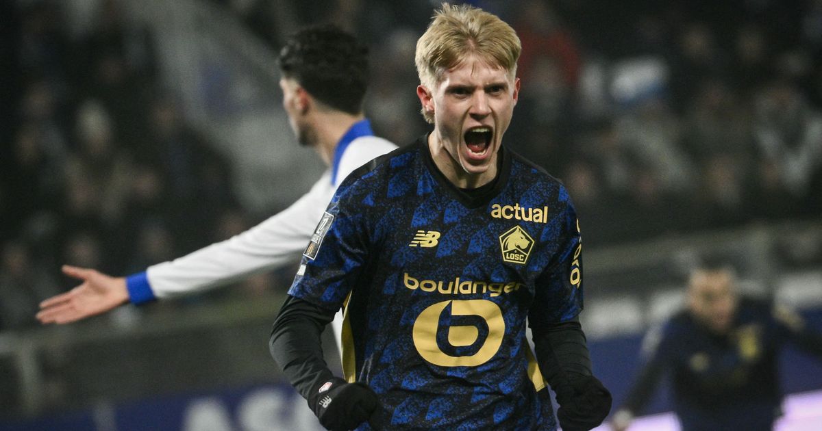 Match décisif du losc face à auxerre : enjeux européens pour les dogues