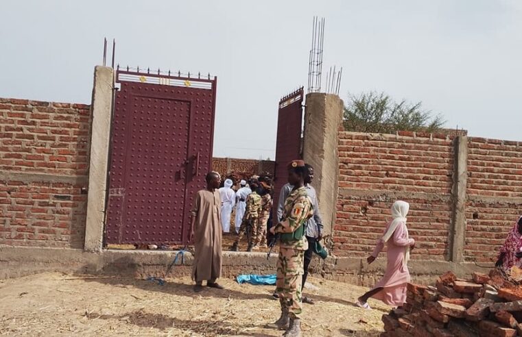 Réseau d&rsquo;abattage clandestin démantelé à N&rsquo;Djamena : des animaux malades saisis