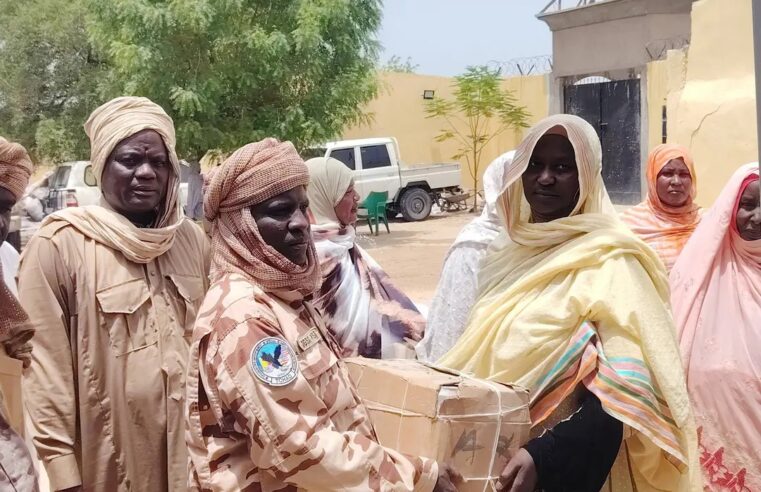 Solidarité féminine face à boko haram dans la province du lac tchadien