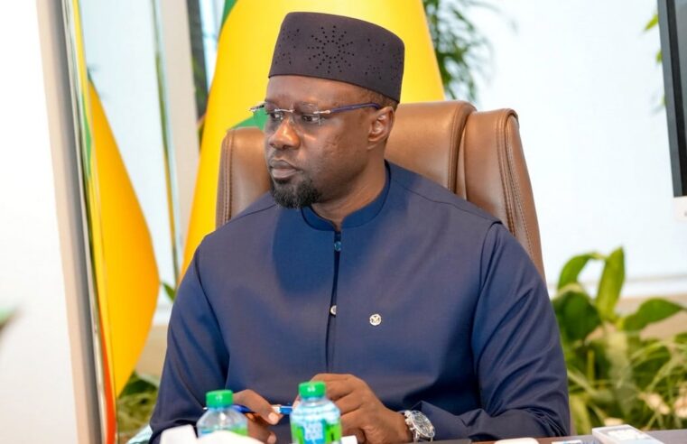 Le Sénégal mise sur les partenariats privés pour dynamiser ses parcs nationaux