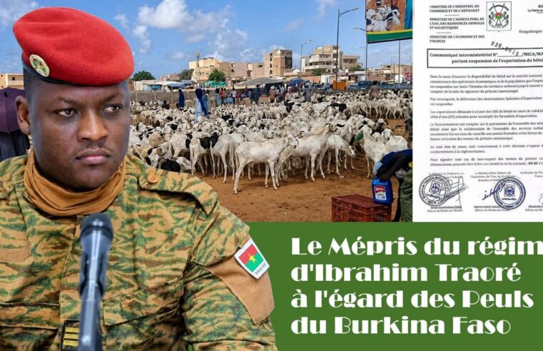 Burkina Faso : les peuls sous pression, entre violences et asphyxie économique