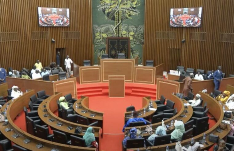 Sénégal : Ousmane Sonko en passe de diriger l’Assemblée, l’opposition crie au scandale