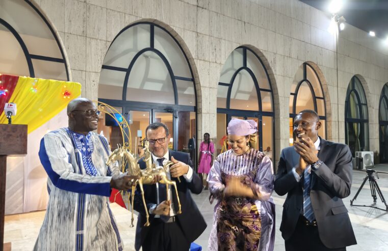 Sonelgaz renforce la production d&rsquo;électricité au Tchad avec un projet de centrale de 50 MW