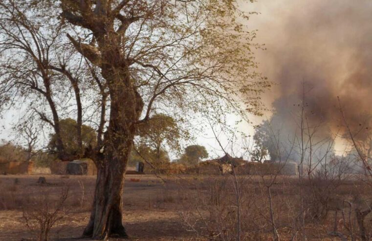 Lutte acharnée entre factions djihadistes dans la forêt de Sambisa