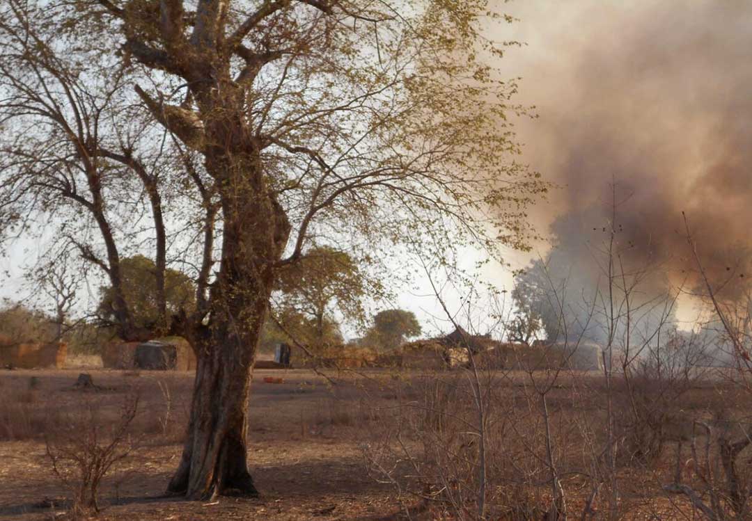 Lutte acharnée entre factions djihadistes dans la forêt de Sambisa