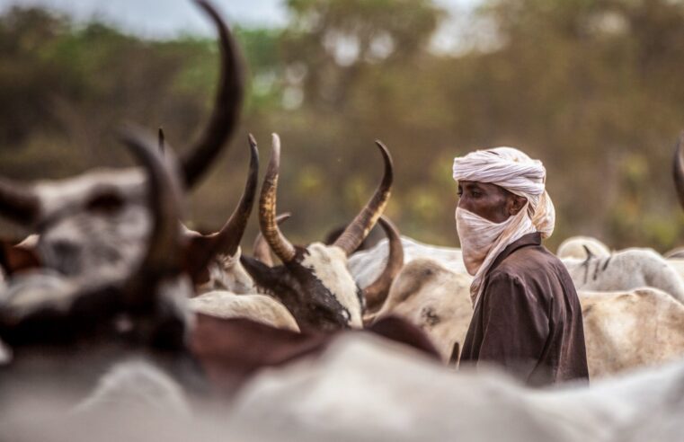 Conflits meurtriers au Tchad : les autorités tchadiennes sous le feu des critiques