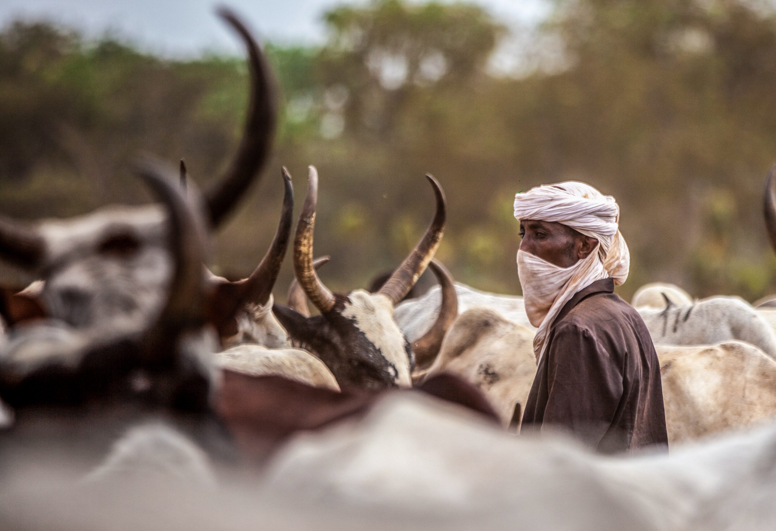 Conflits meurtriers au Tchad : les autorités tchadiennes sous le feu des critiques