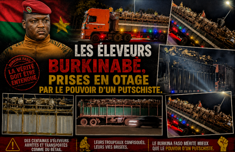 Burkina Faso : comment l&rsquo;interdiction du bétail étrangle les éleveurs avant le Ramadan
