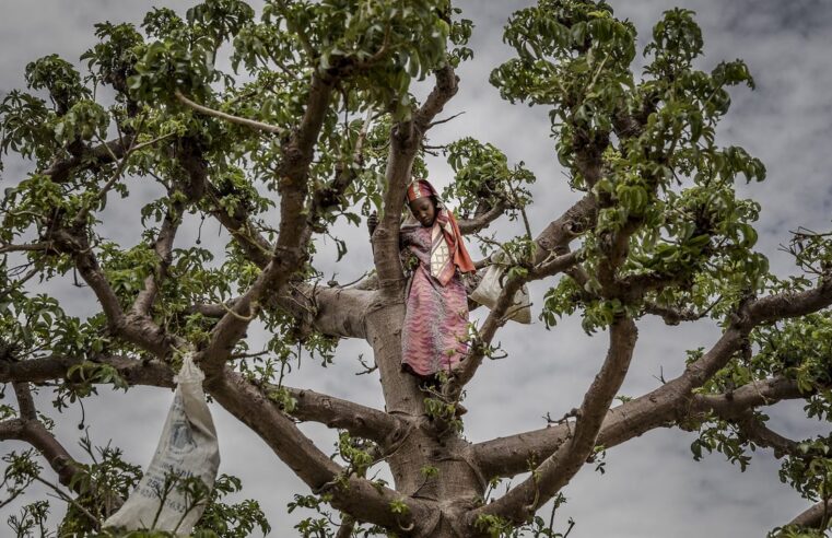 Crise économique au Niger : la lutte quotidienne contre la faim d&rsquo;une génération