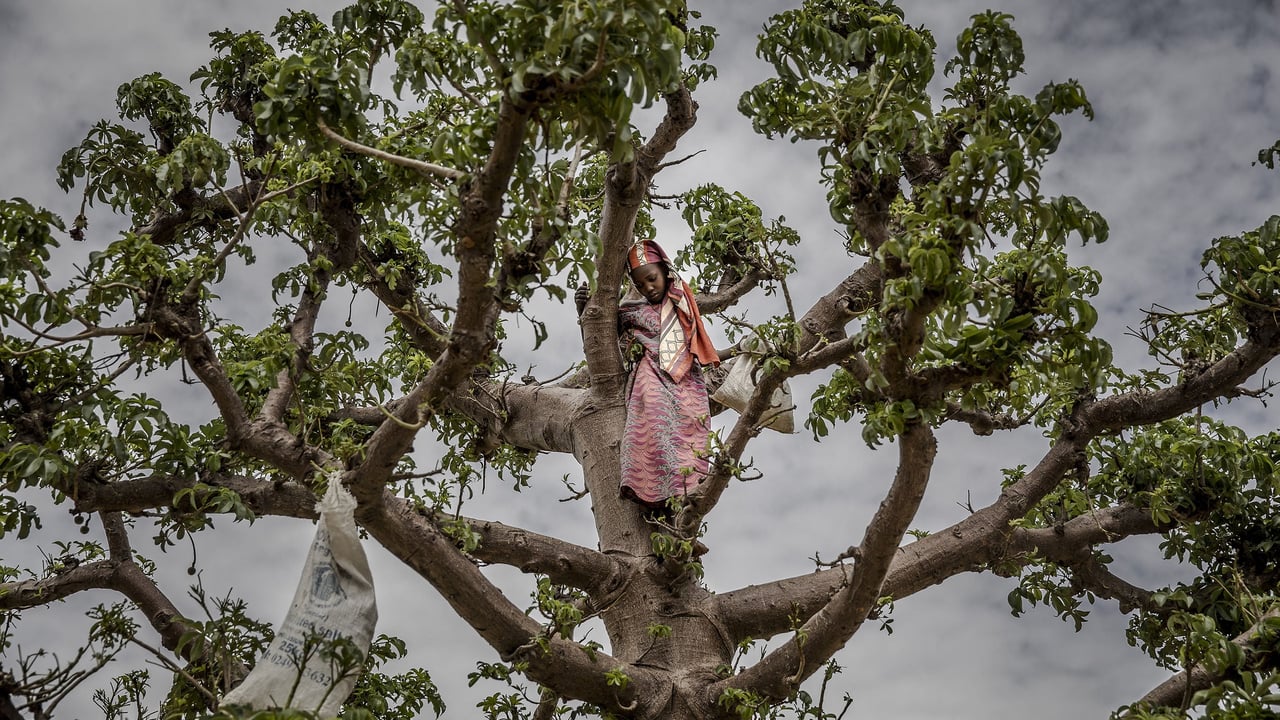 Crise économique au Niger : la lutte quotidienne contre la faim d&rsquo;une génération