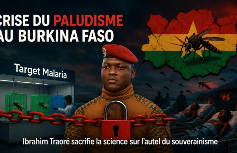 Crise du paludisme au Burkina Faso : les conséquences d&rsquo;une décision politique radicale