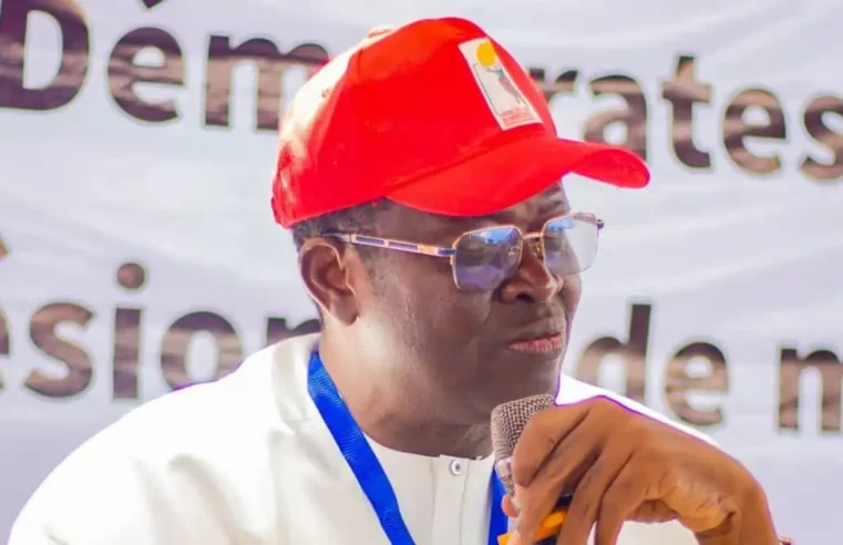 Statut d&rsquo;opposition au Bénin : le parti ld persiste et les démocrates confirment leur rôle