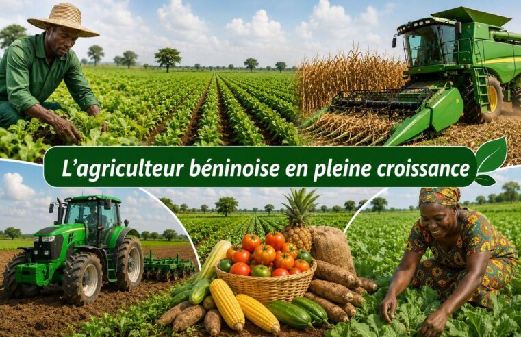 Réforme agricole au Bénin : une révolution économique sous l&rsquo;ère talon