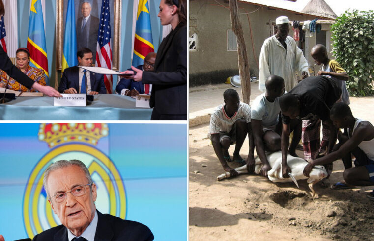Crise du mouton en Côte d&rsquo;Ivoire avant la Tabaski : quels enjeux ?