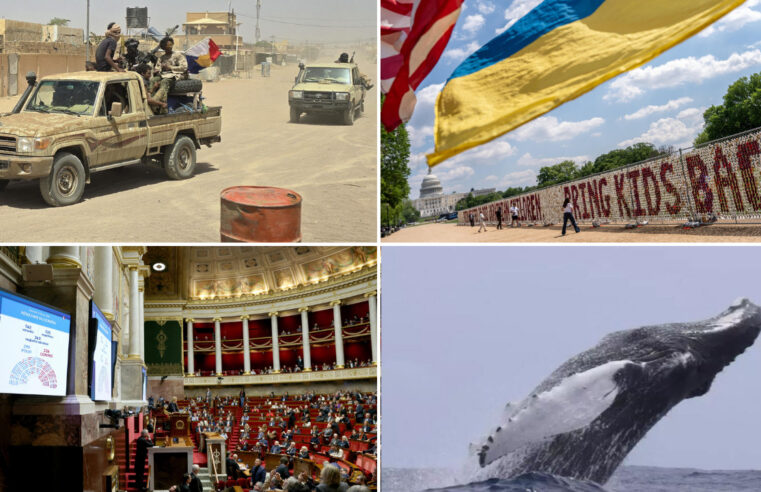 Alliance stratégique entre le Jnim et le FLA : quelles conséquences pour le Mali ?