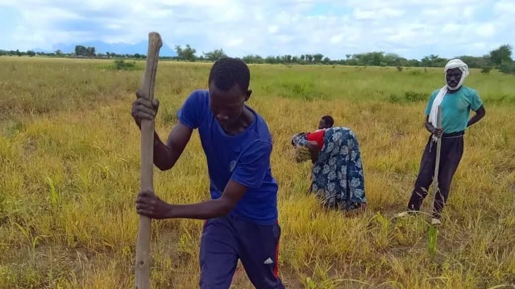 Un paysan délimite sa surface agricole lors du CEP