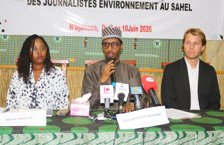Atelier à N&rsquo;Djamena pour sécuriser les journalistes environnementaux en afrique