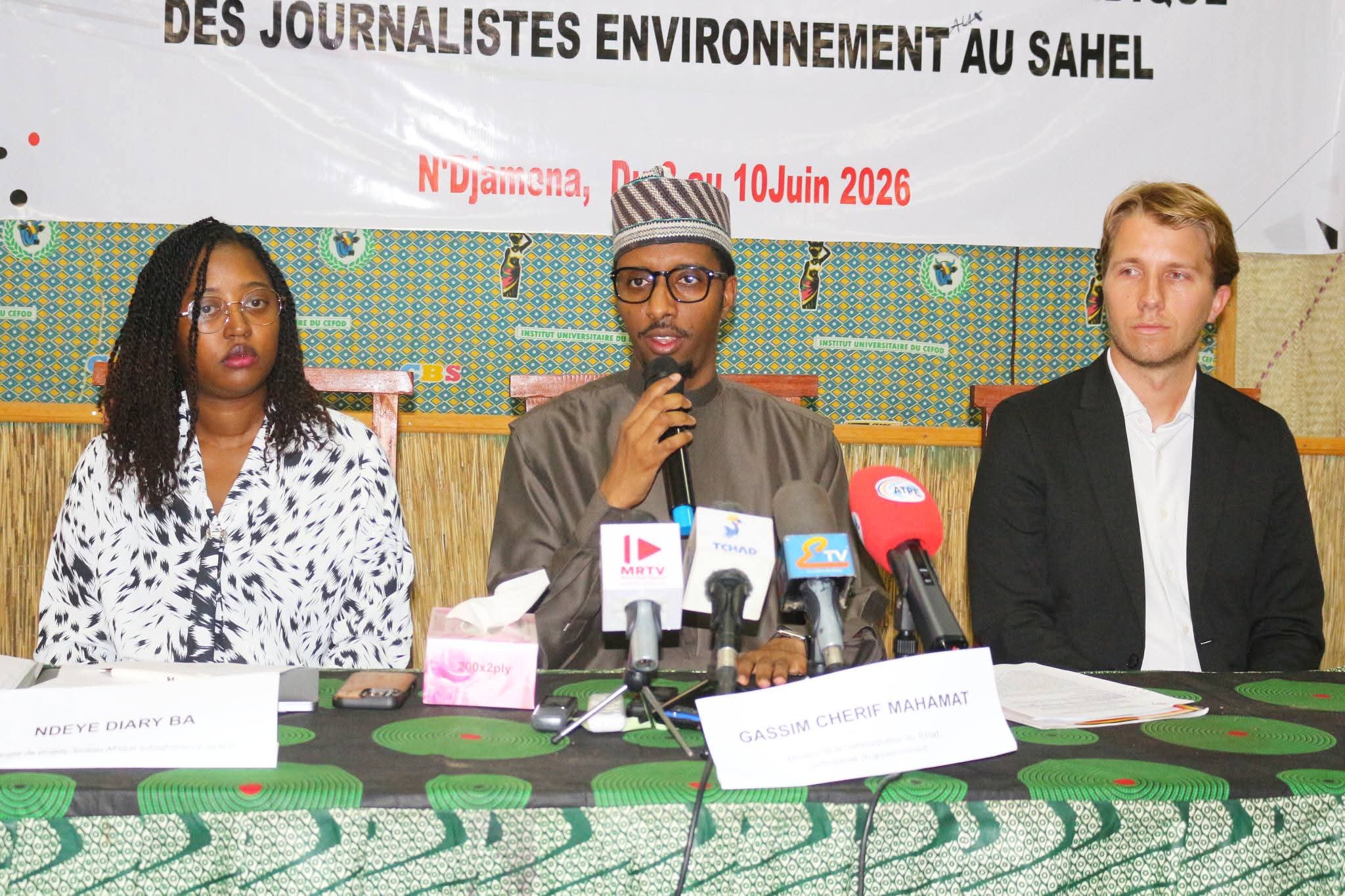 Atelier à N&rsquo;Djamena pour sécuriser les journalistes environnementaux en afrique
