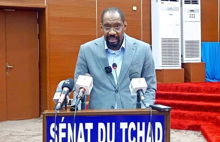 Tchad : l&rsquo;appel urgent du gouvernement contre les violences intercommunautaires