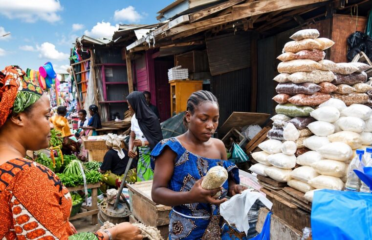 L&rsquo;illusion de la stabilité des prix face à la réalité du marché sahélien