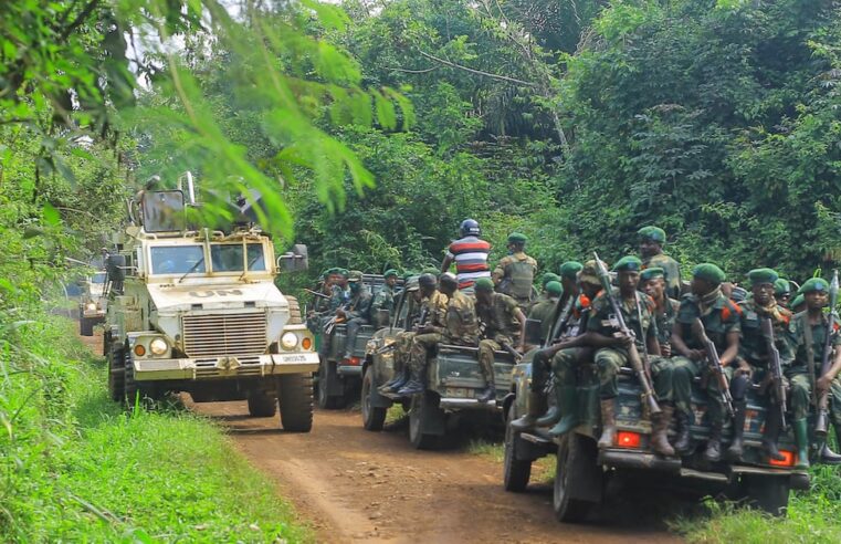 Violence extrême dans l&rsquo;est de la RDC : les adf responsables de centaines de morts en 2026