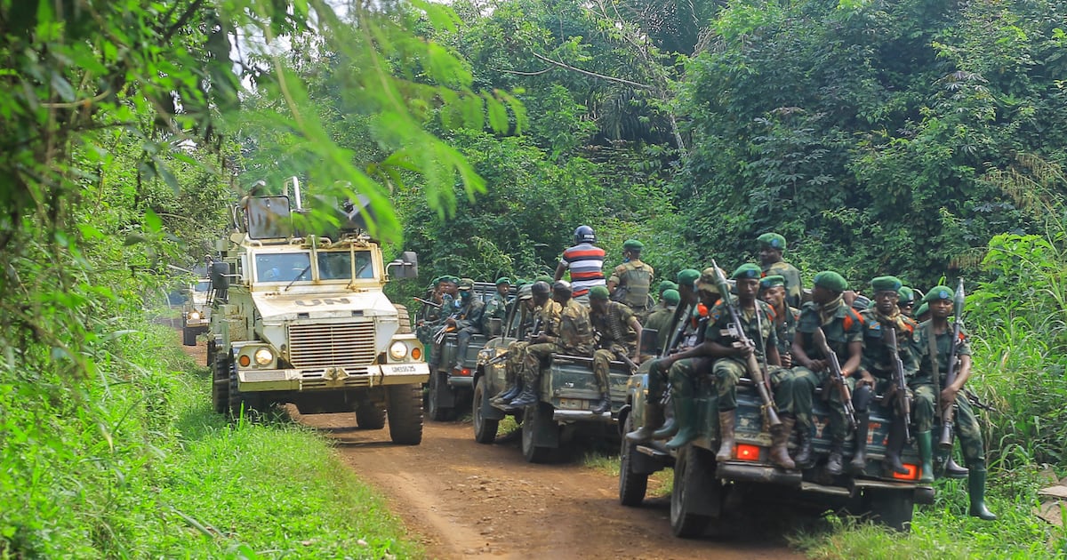 Violence extrême dans l&rsquo;est de la RDC : les adf responsables de centaines de morts en 2026