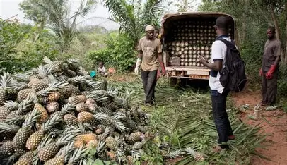 Le Bénin renforce son autonomie agricole grâce à un financement islamique innovant