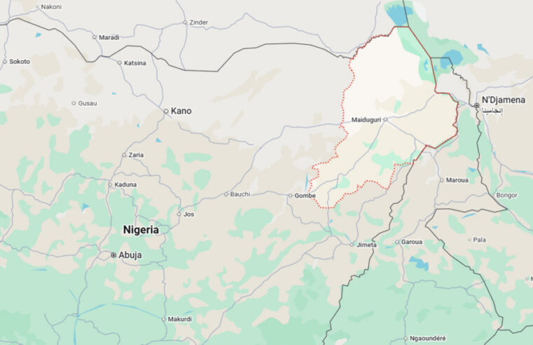 Nigeria : plus de 400 otages de boko haram retrouvent la liberté dans l&rsquo;état de borno