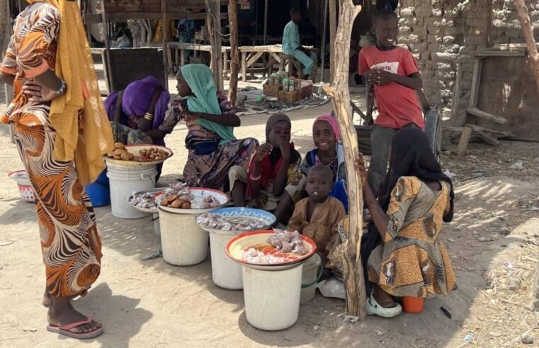 Nigeria : libération de centaines d&rsquo;otages par boko haram dans l&rsquo;état de borno
