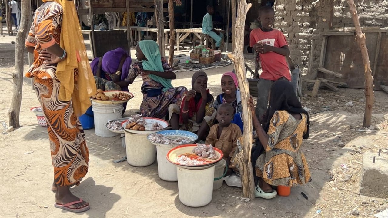 Nigeria : libération de centaines d&rsquo;otages par boko haram dans l&rsquo;état de borno