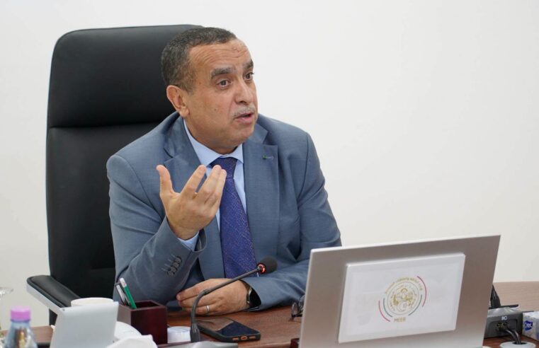 Adjal annonce la pose prochaine de la première pierre d’une centrale de 40 mégawatts à N&rsquo;Djamena