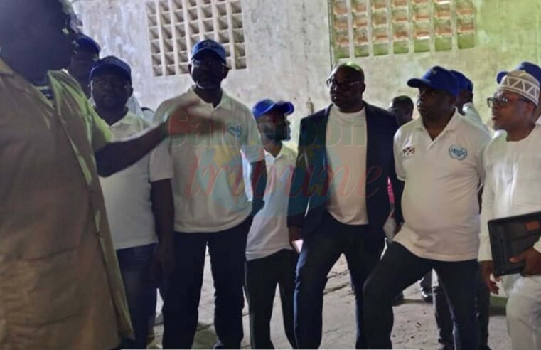 Le Cameroun mise sur la formation de 35 vérificateurs pour certifier l&rsquo;excellence de son cacao