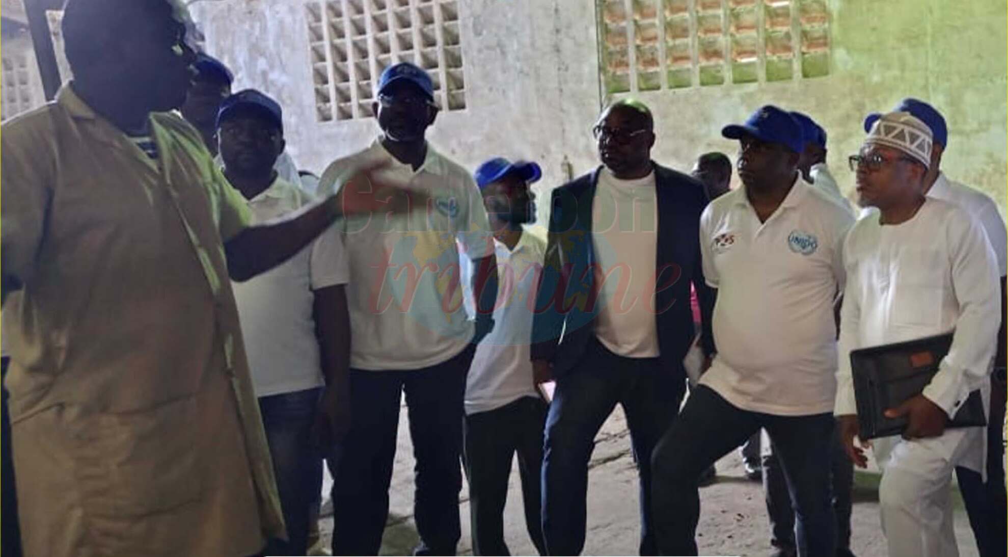 Le Cameroun mise sur la formation de 35 vérificateurs pour certifier l&rsquo;excellence de son cacao