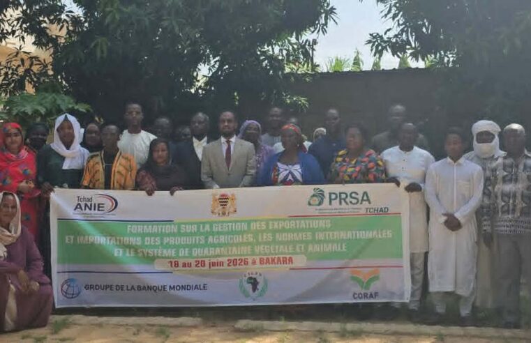 Tchad : une formation clé pour booster les exportations agricoles