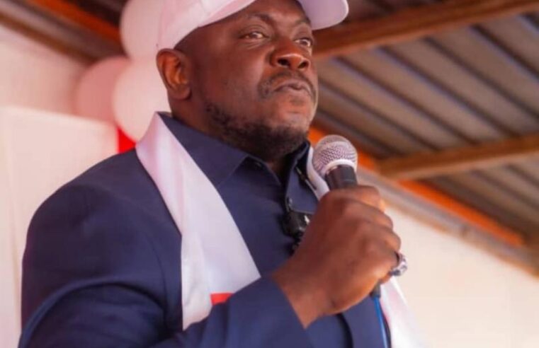 Réforme constitutionnelle en RDC : l’APEC de Louis Watum Kabamba mise sur une constitution adaptée aux besoins du pays