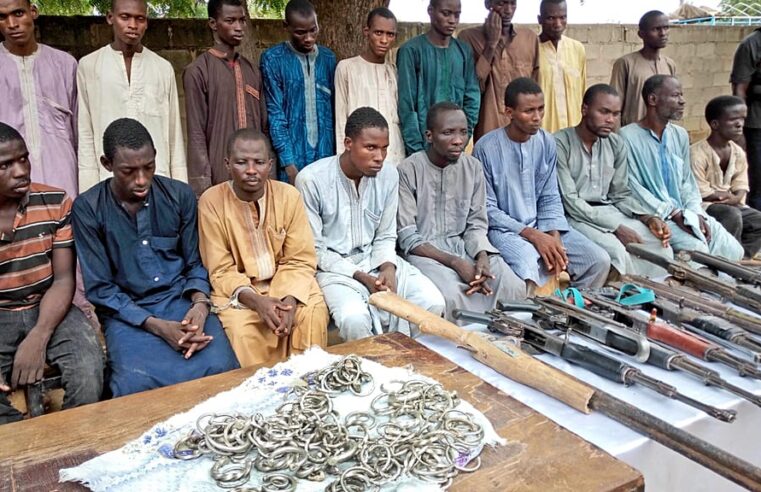 Boko haram : près de 10 000 anciens combattants réintégrés au Nigeria