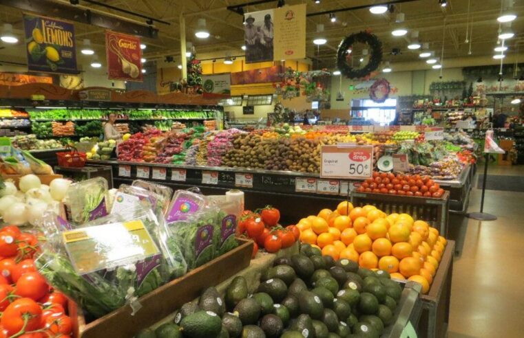 Transition énergétique : le secteur agroalimentaire marocain se mobilise à Rabat pour la décarbonation